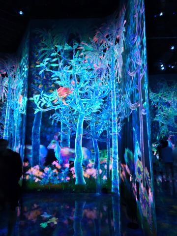 Glowing forest room