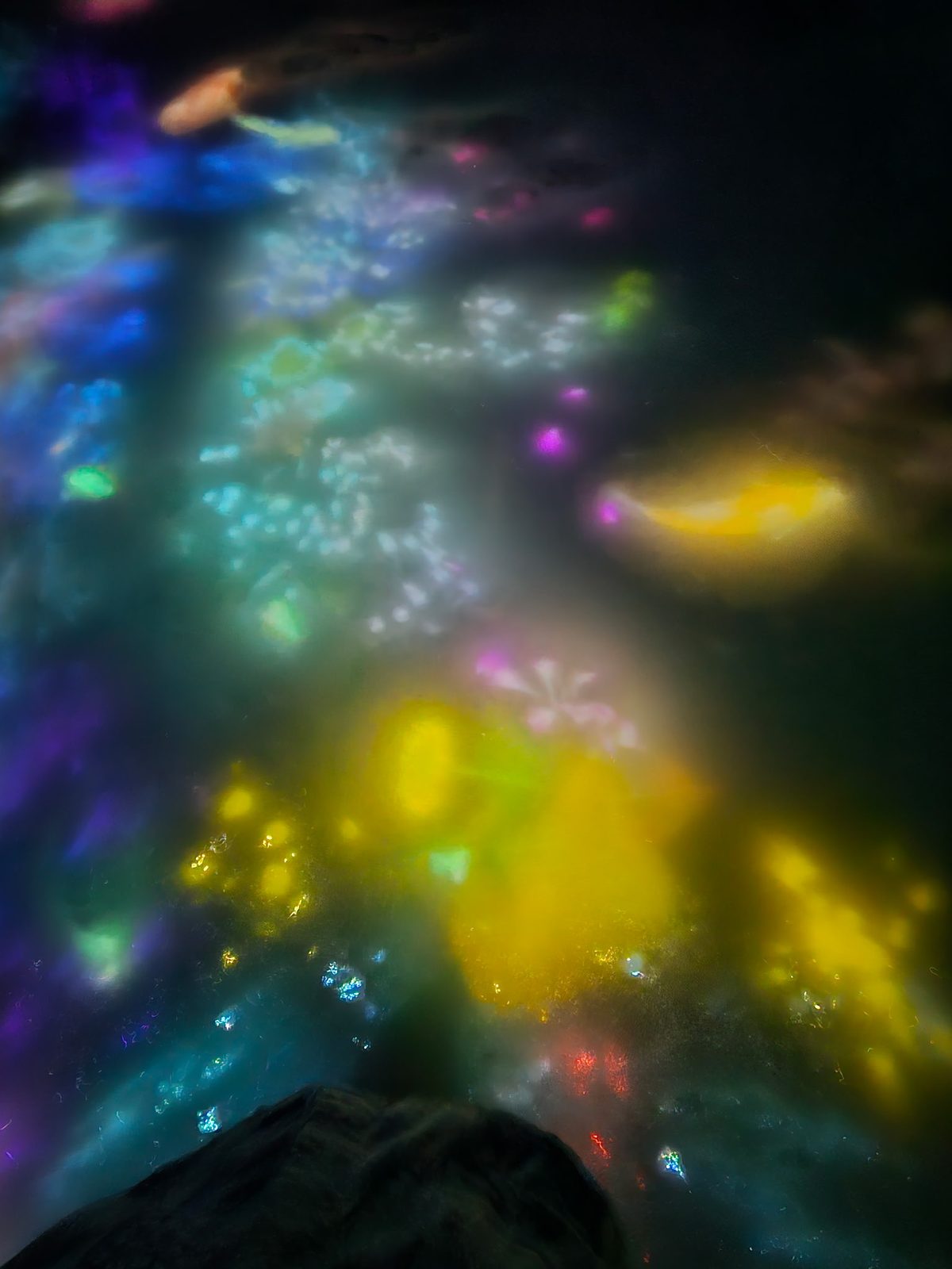 Koi of light in the water